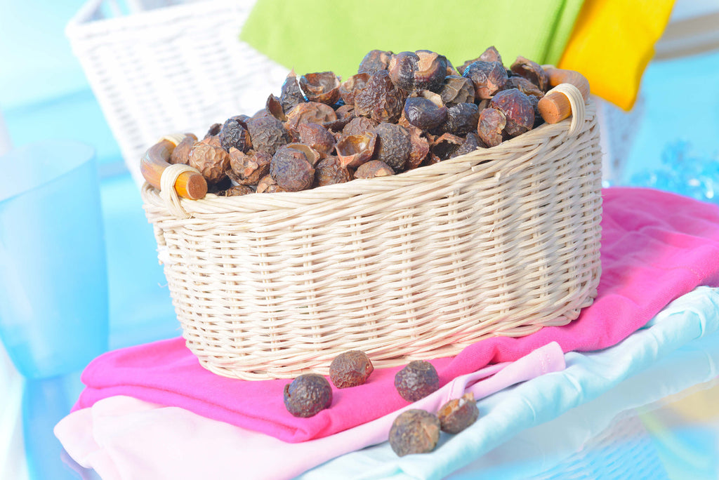 Washing with natural and organic soapberries