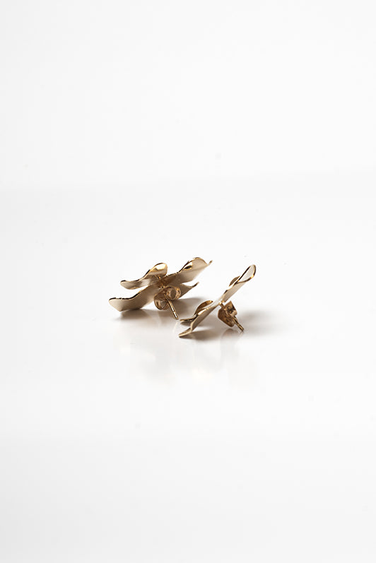 Degenia earrings