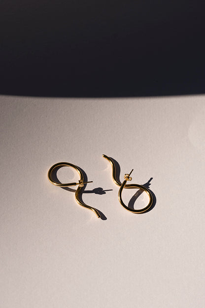 Climbers earrings