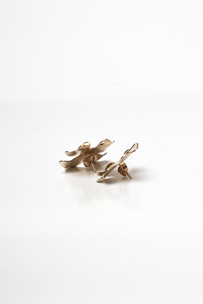 Degenia earrings