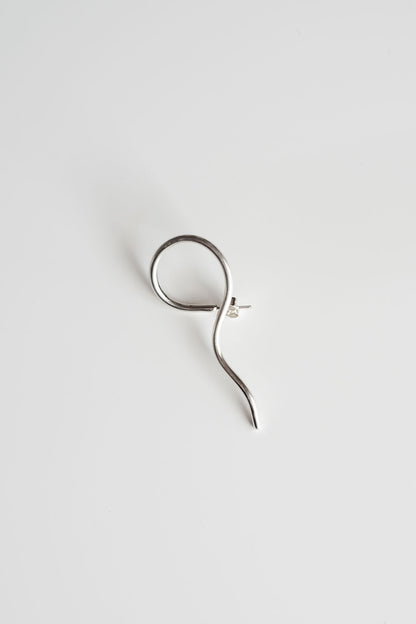 Climbers earrings