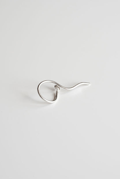 Climbers earrings