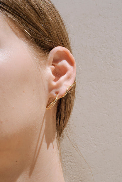 Climbers earrings