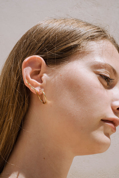 Climbers earrings