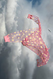Pink Daisy Sweatshirt