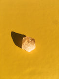 Salona earrings