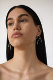 Coral earrings