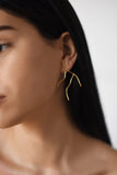 Coral earrings